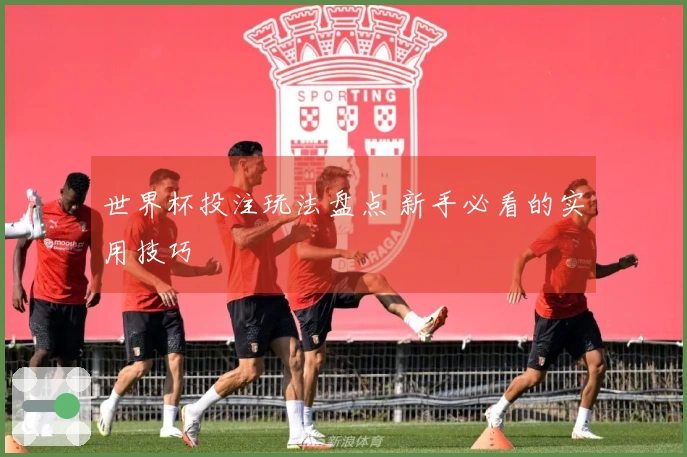 世界杯投注玩法盘点 新手必看的实用技巧