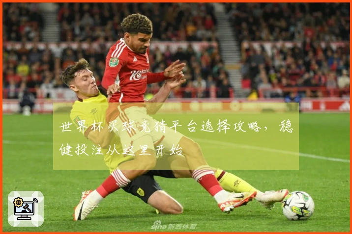 世界杯买球竞猜平台选择攻略，稳健投注从这里开始