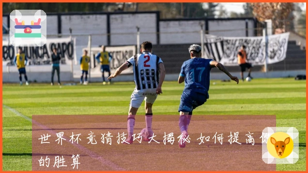 世界杯竞猜技巧大揭秘 如何提高你的胜算