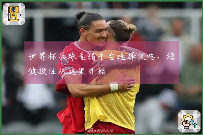 世界杯买球竞猜平台选择攻略，稳健投注从这里开始