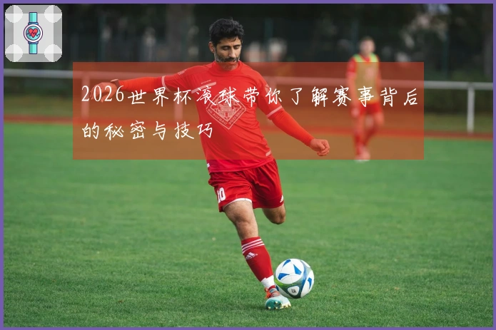 2026世界杯滚球带你了解赛事背后的秘密与技巧
