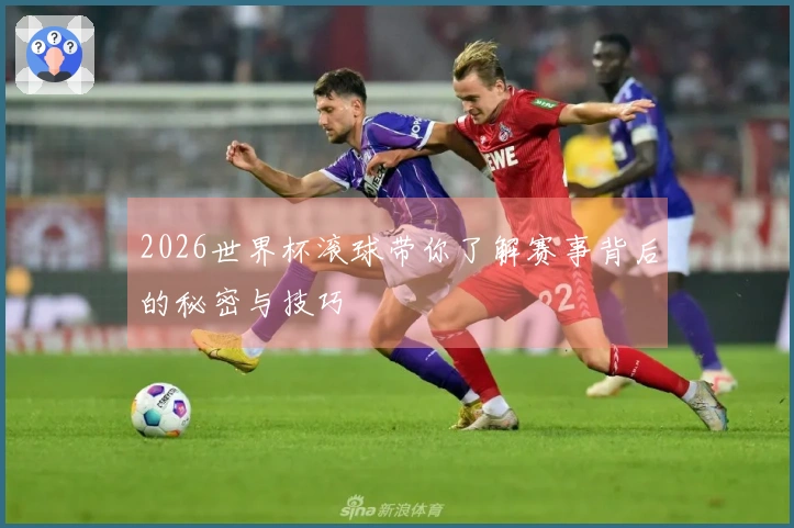 2026世界杯滚球带你了解赛事背后的秘密与技巧