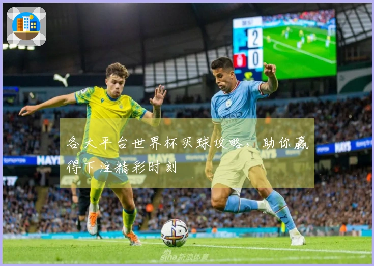 各大平台世界杯买球攻略，助你赢得下注精彩时刻