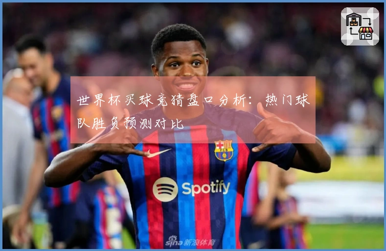 世界杯买球竞猜盘口分析：热门球队胜负预测对比