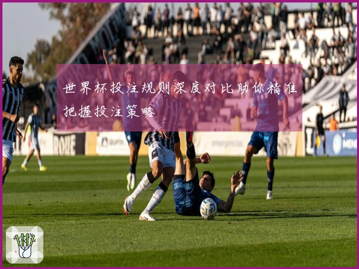 世界杯投注规则深度对比助你精准把握投注策略